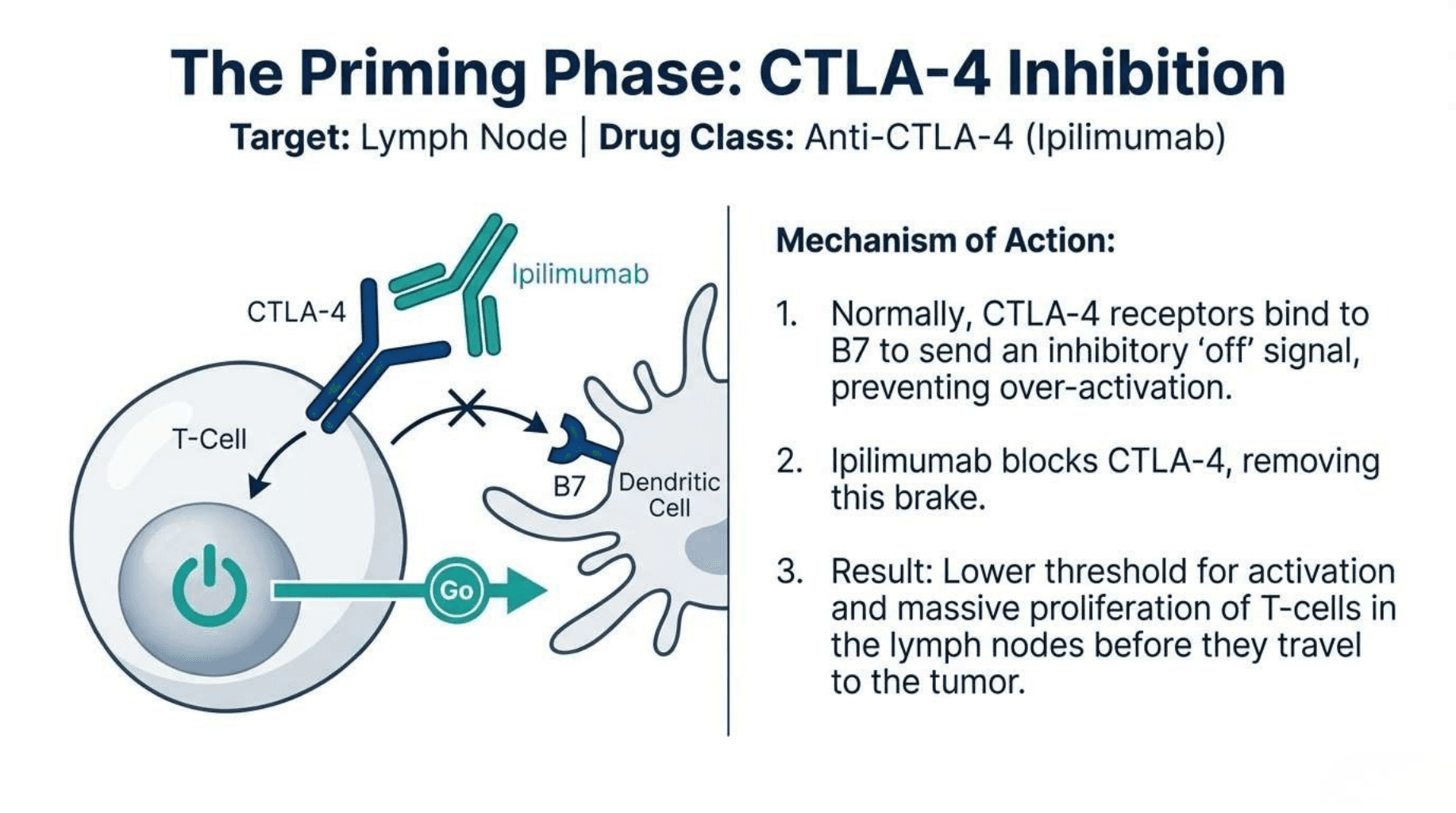 Slide 3 of The Fourth Pillar: Fundamentals of Cancer Immunotherapy