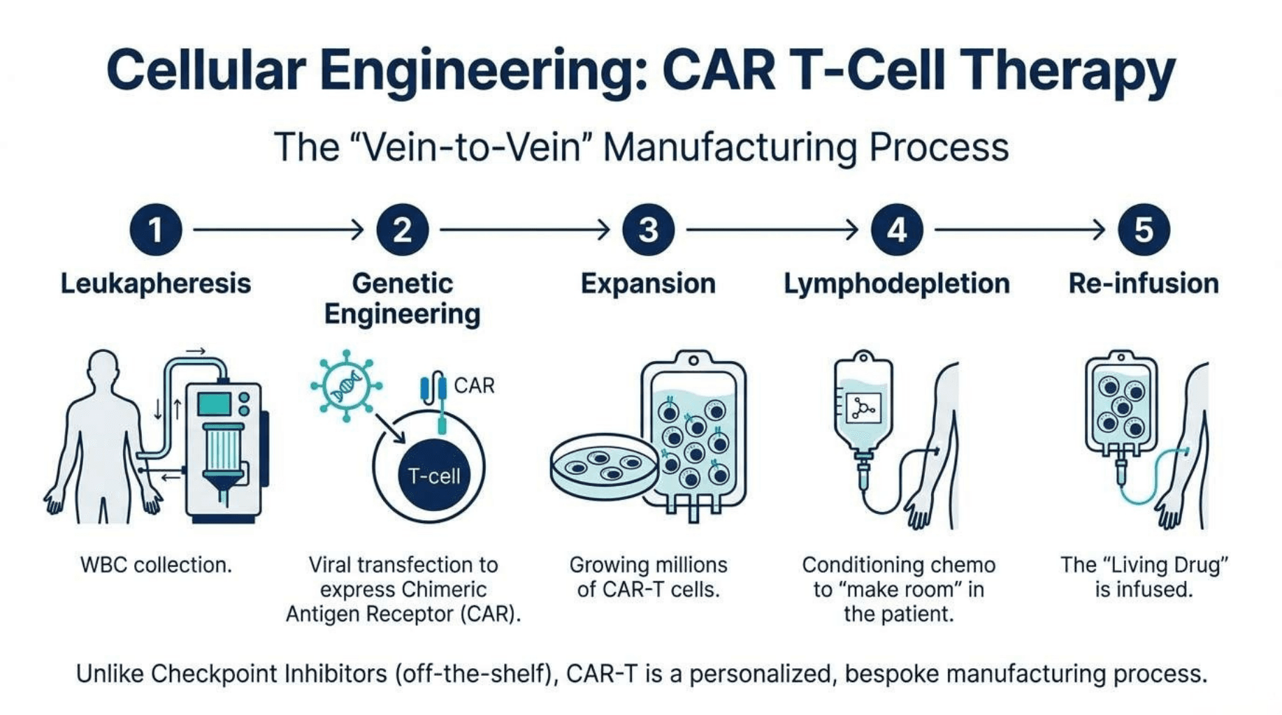 Slide 10 of The Fourth Pillar: Fundamentals of Cancer Immunotherapy
