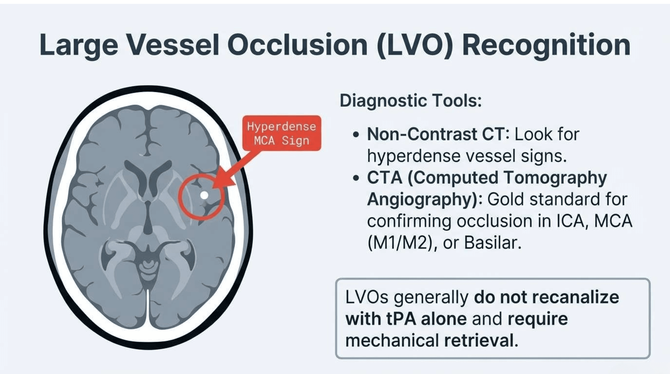 Slide 9 of Time is Brain: Protocols for Acute Ischemic Stroke Management