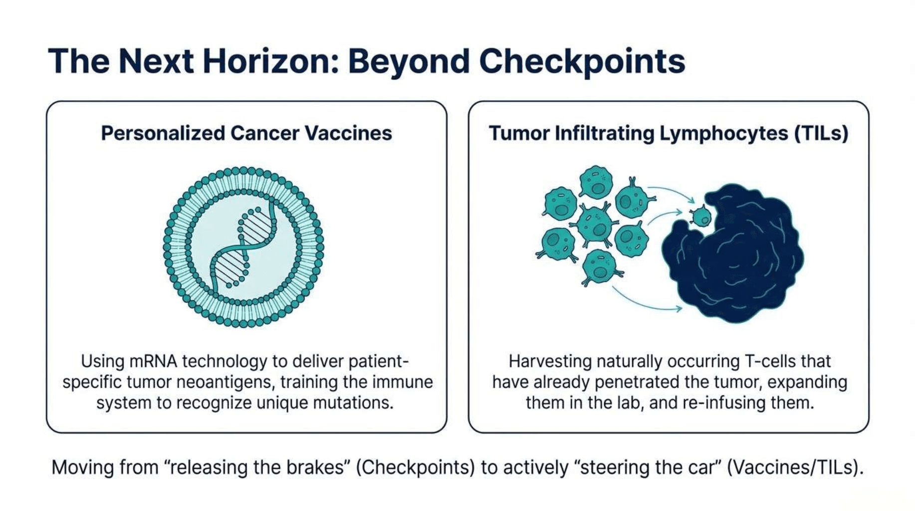 Slide 14 of The Fourth Pillar: Fundamentals of Cancer Immunotherapy